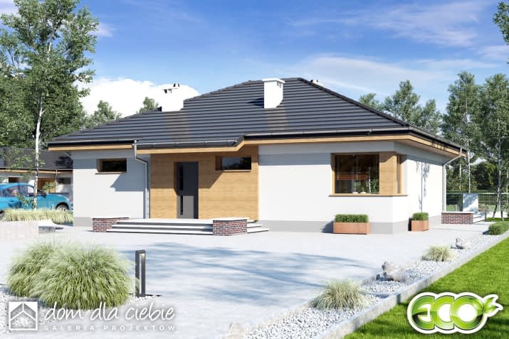 Tomaszek III Novum bez garażu - wizualizacja 2