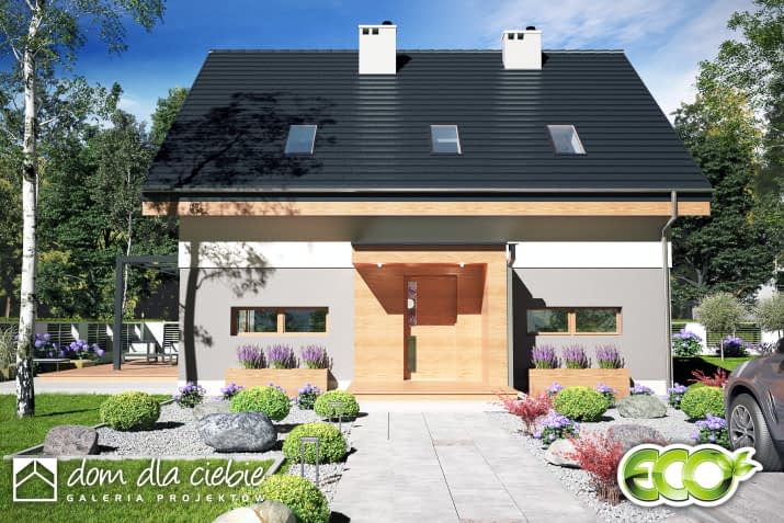 Nowalia II B - wizualizacja 2