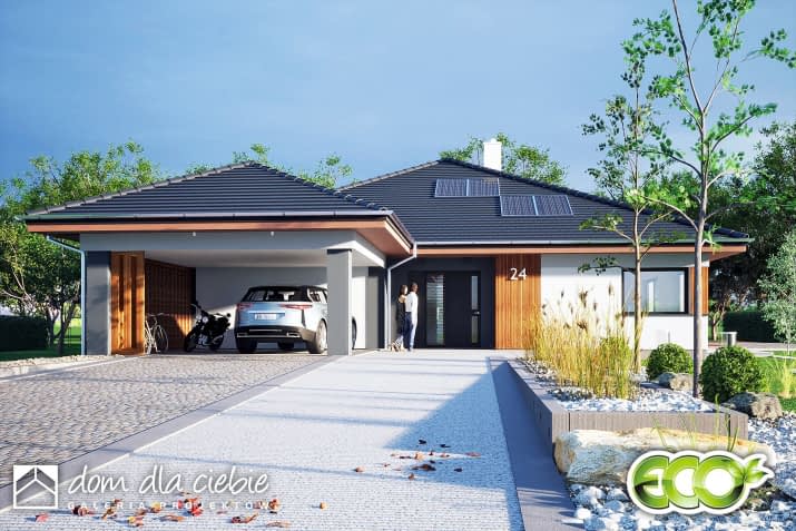 Aura wiata z wiatą - wizualizacja 2