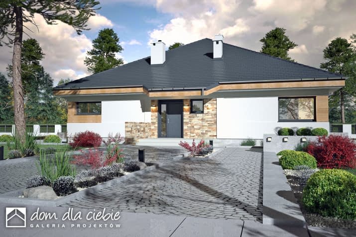 Czarnuszka - wizualizacja 2