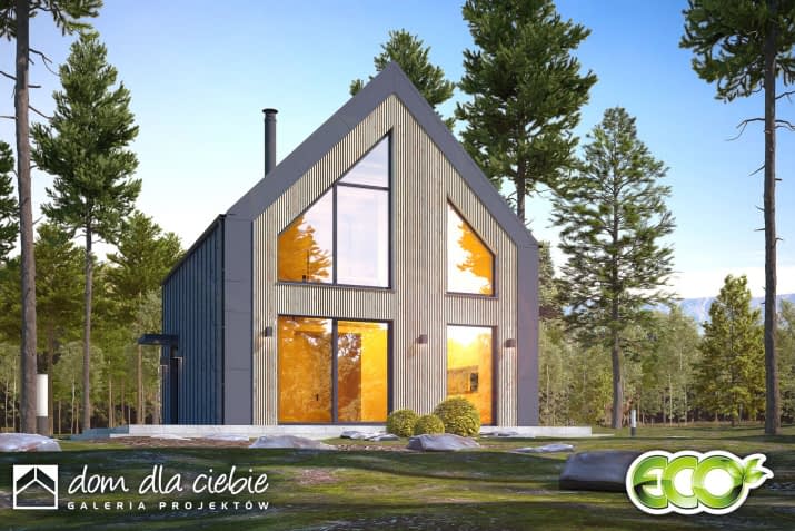 Amon - wizualizacja 2