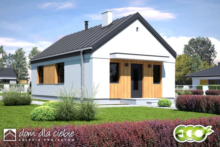 Iwo - wizualizacja 2