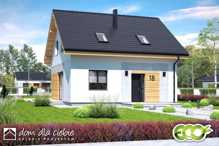 Pomelo - wizualizacja 2