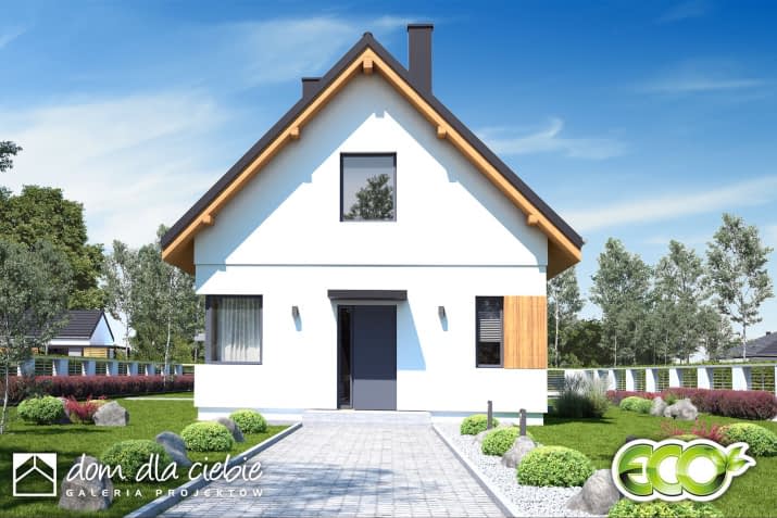 Kiwi - wizualizacja 2