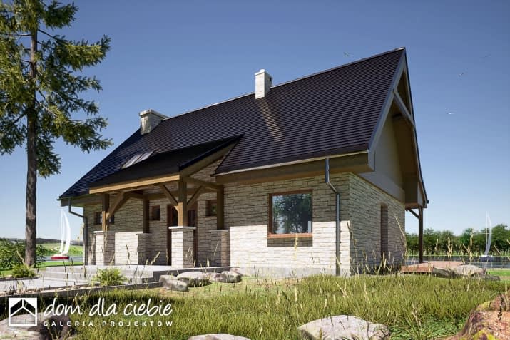 Ziomek - wizualizacja 2