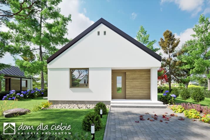 Mango - wizualizacja 2