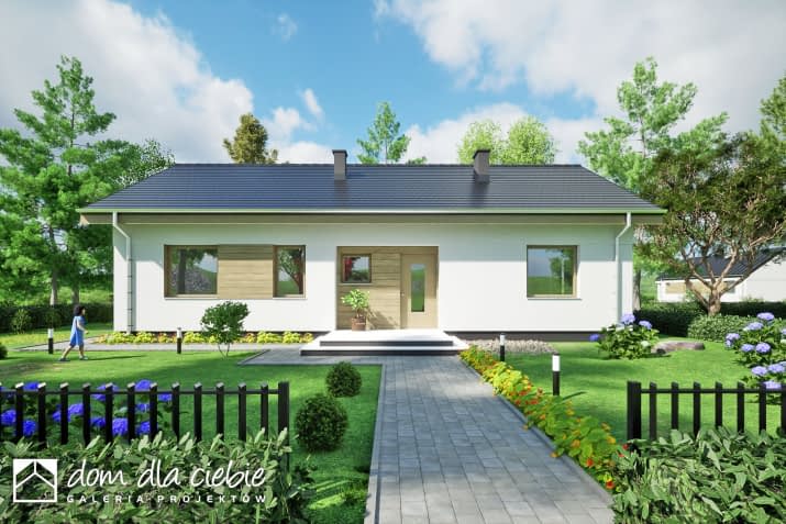 Salsa - wizualizacja 2