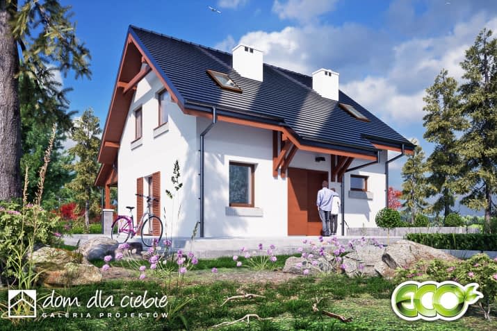 Figa - wizualizacja 2