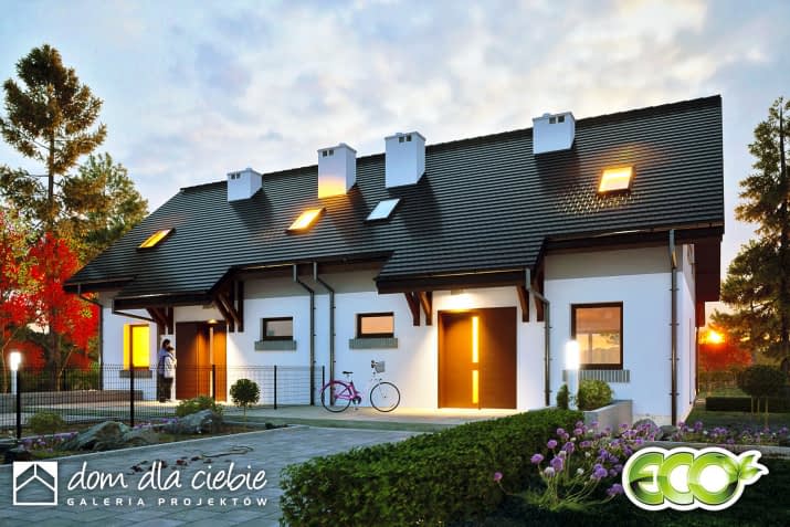 Daktyl bliźniak - wizualizacja 2