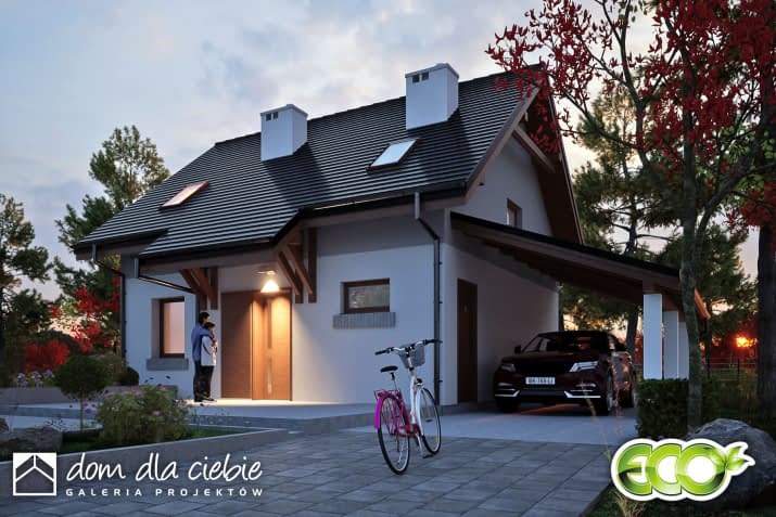 Figa z wiatą - wizualizacja 2