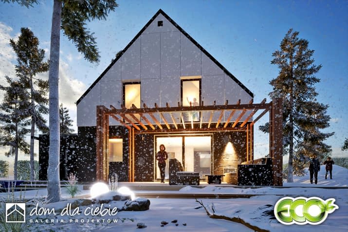 Daktyl II z garażem - wizualizacja 2