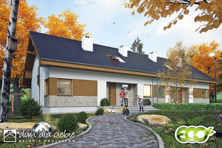 Paprotka B-BL - wizualizacja 2