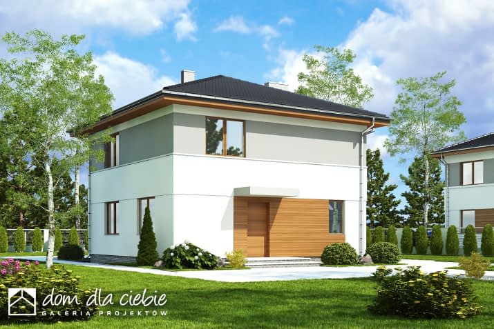 Tadeusz II - wizualizacja 2