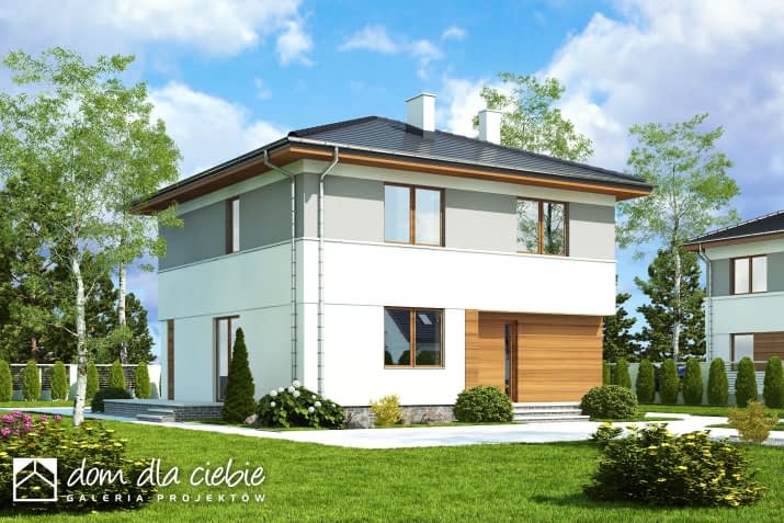 Tadeusz IV - wizualizacja 2