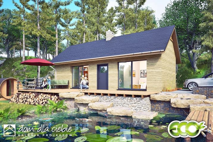 Opieńka PG - wizualizacja 2