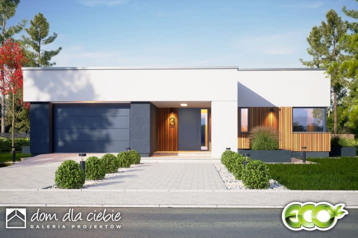 Klara VII z garażem - wizualizacja 2