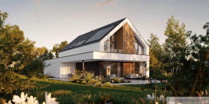 HOMEKONCEPT 130 - wizualizacja 2