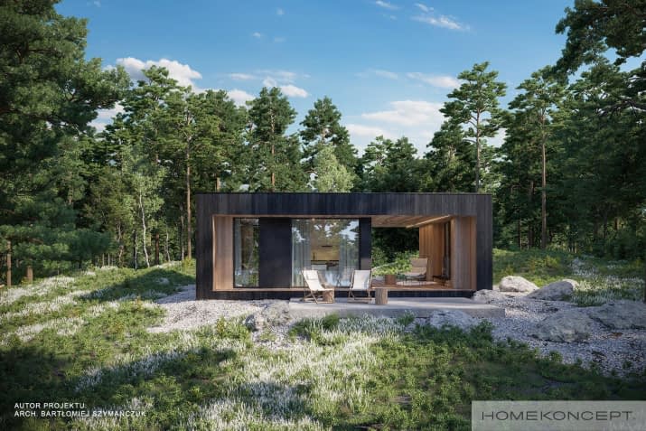 HOMEKONCEPT 84 DL - wizualizacja 2