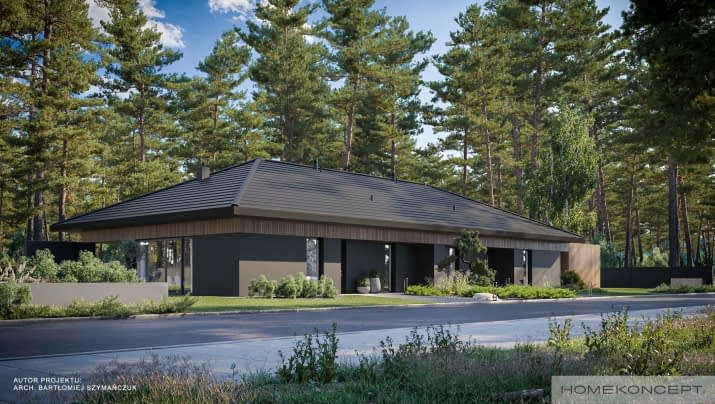 HOMEKONCEPT 97 B - wizualizacja 2