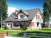 Dżin N - wizualizacja 3