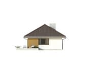 Imbir (CE) - wizualizacja 6