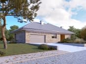 Feniks 2 (CE) - wizualizacja 5