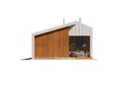 Śmiałek dr-S (DR-S) - wizualizacja 10