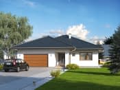 Ariel (KO) - wizualizacja 10