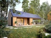 Jaskier dr-S (DR-S) - wizualizacja 3