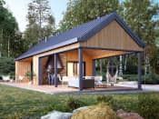 Jaskier dr-S (DR-S) - wizualizacja 7