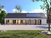 Paproć 5 (PH) - wizualizacja 6