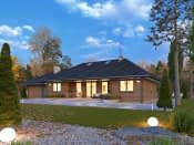 Borówka 7 bal (BAL) - wizualizacja 3