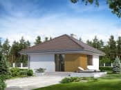 Imbir (CE) - wizualizacja 3