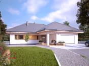 Ambrozja 6 (CE) - wizualizacja 3