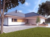 Ambrozja 6 (CE) - wizualizacja 6