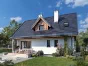 Bielik dr-S (DR-S) - wizualizacja 6