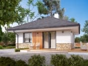 Imbir 5 (CE) - wizualizacja 5