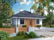 Imbir 5 (CE) - wizualizacja 6