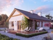 Imbir 2 (CE) - wizualizacja 3