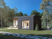 Śmiałek 2 dr-S (DR-S) - wizualizacja 6