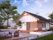 Imbir 4 (CE) - wizualizacja 3