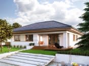 Kiwi (CE) - wizualizacja 3