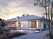 Feniks (CE) - wizualizacja 6