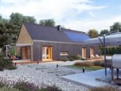 Paproć 3 (CE) - wizualizacja 6