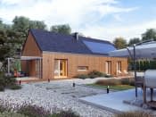 Paproć 3 (CE) - wizualizacja 11