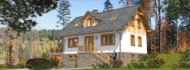 L-42 szkieletowy - wizualizacja 5