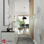 E-244 - wizualizacja 8