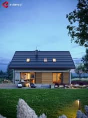 E-290 - wizualizacja 5