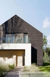 HOMEKONCEPT 102 - wizualizacja 6