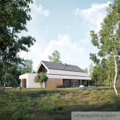 HOMEKONCEPT 99 - wizualizacja 6